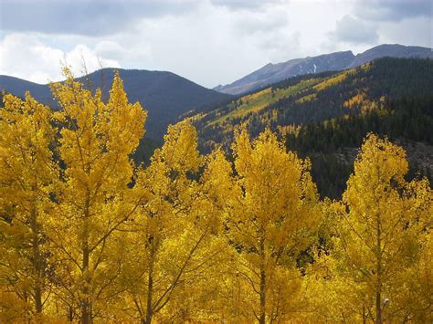 12 Scenic Drives To See Fall Colors In Colorado Scenic Drive Scenic