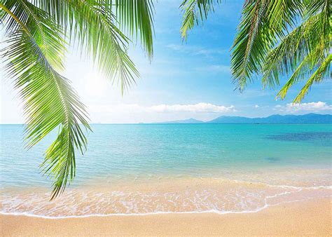 Free download Amazoncom Summer Beach Background Sunshine 