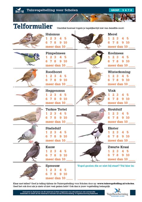 Doe mee en tel op 24, 25 & 26 januari de vogels in je tuin. Tuinvogeltelling 26-27-28 januari - Ulebelt