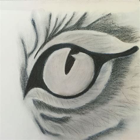 Pastel Pencil Drawing Tigers Eye Eyes Artwork Pencil Drawings