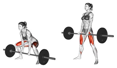 8 Best Types Of Deadlift Variations With Pictures Inspire Us