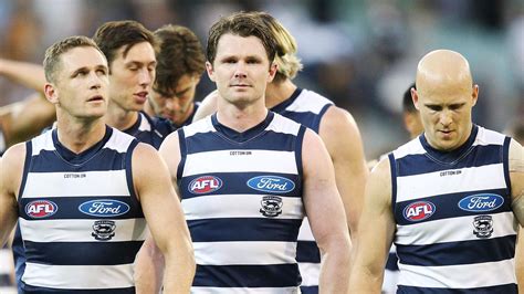 Learn how to take care of cats, from everyda. AFL: Geelong Cats' big three share their gifts for Port clash
