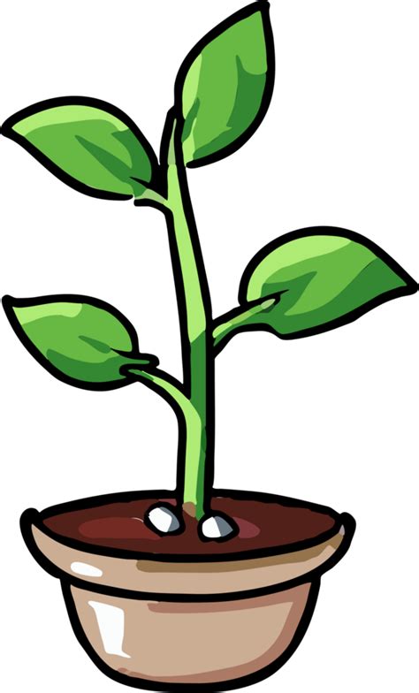 Plant Growing Png Graphic Clipart Design 23743688 Png