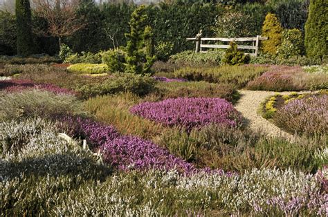 Maybe you would like to learn more about one of these? Gartenweg anlegen » Planung, Vorbereitung und Durchführung