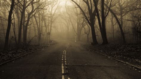 Road Forest Mist Wallpaper 1920x1080 31662