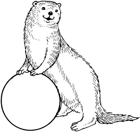 Free Otter Coloring Pages