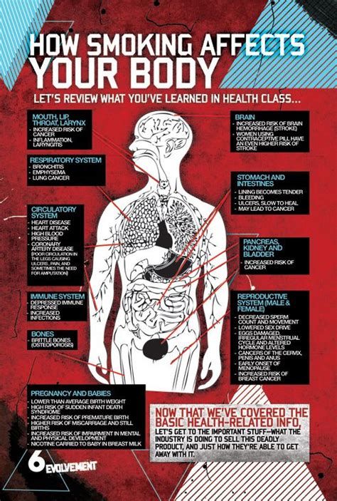 The Impact Of Smoking On The Respiratory System Well See