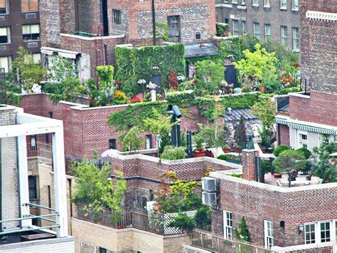 Many times we are not pay enough attention in making of house rooftop space. What to Consider Before Planting a Rooftop Garden