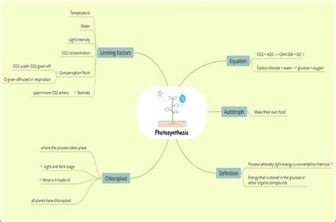 Use Biology Concept Map To Learn Biology Concepts