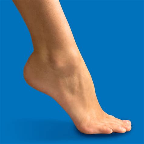 The Meaning And Symbolism Of The Word Ankle