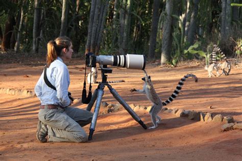 A Wildlife Photographers Most Important Photography Advice Set The