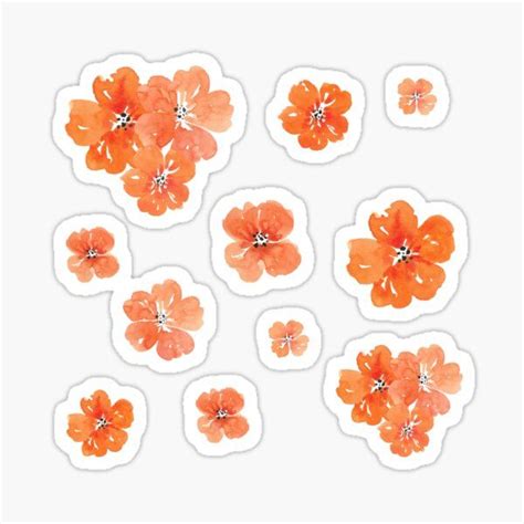 Little Orange Watercolor Flowers Set Pack Sticker By Apricotblossom