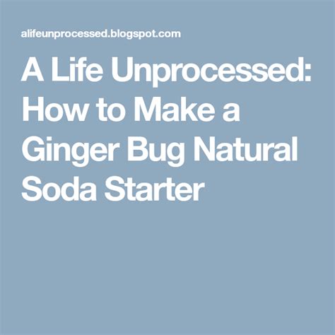 A Life Unprocessed How To Make A Ginger Bug Natural Soda Starter