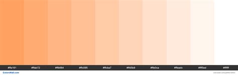 Tints Xkcd Color Pastel Orange Ff964f Hex Colorswall Poppy Color