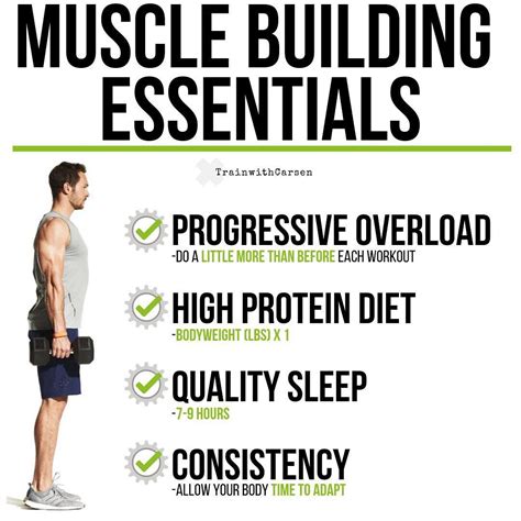 Muscle Building Essentials You Need To Give Your Muscles A Reason To