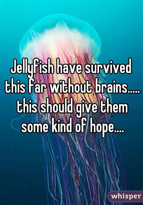 Jellyfish Have Survived This Far Without Brains This Should Give