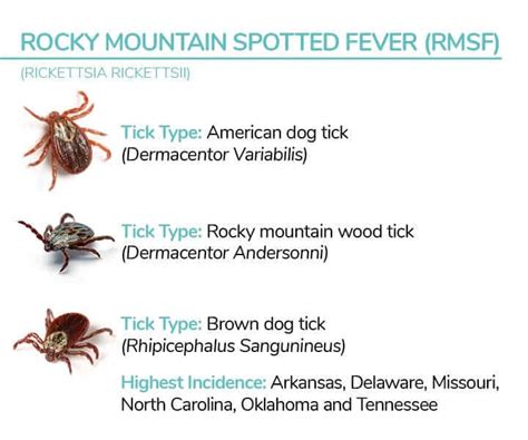 How To Get Rid Of Ticks From Your Pooch Hellow Dog