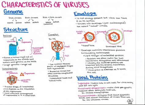 Microbiology Study Guides Microbiology Study Microbiology Biology