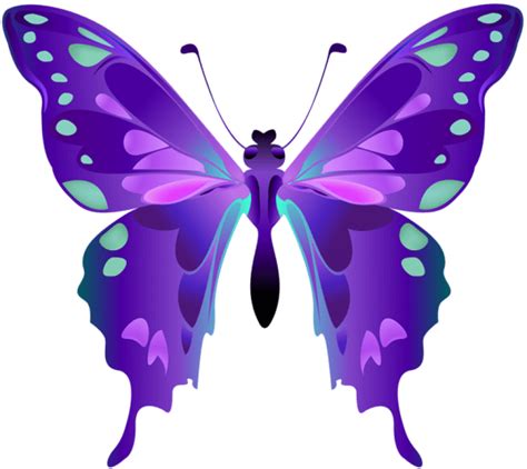 Decorative Butterfly Purple Png Clipart Full Size Clipart 1926066