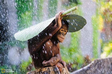 Grand Prize Winner 2015 National Geographic Photo Contest Winners