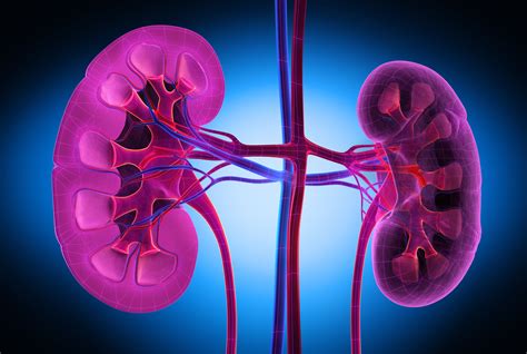 Diabetic Nephropathy Stages Symptoms Causes And Treatment