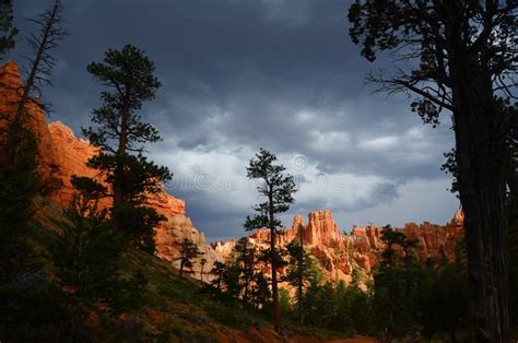 Bryce Canyon Lit Up By The Sun With Dark Clouds Above Stock Image