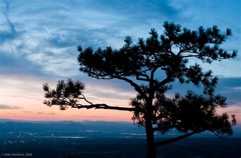 Lonely Pine Sunset This Lone Pine Tree Stands Near Sedalia Flickr