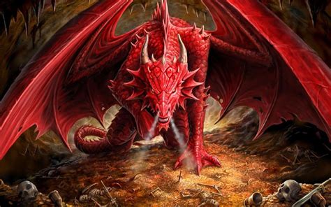 Dragon Wallpapers Hd Wallpaper Cave