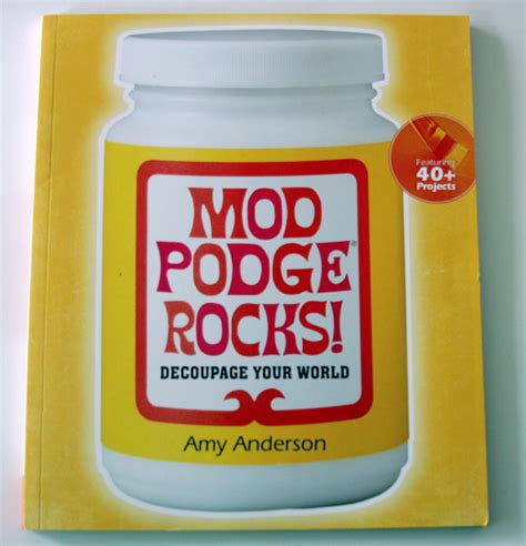 Mod Podge Rocks Book Dollar Store Crafts
