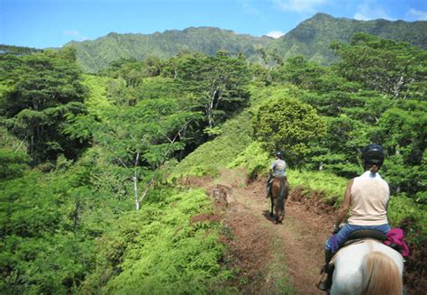 Horseback Riding In Kauai Villas At Poipu Kai