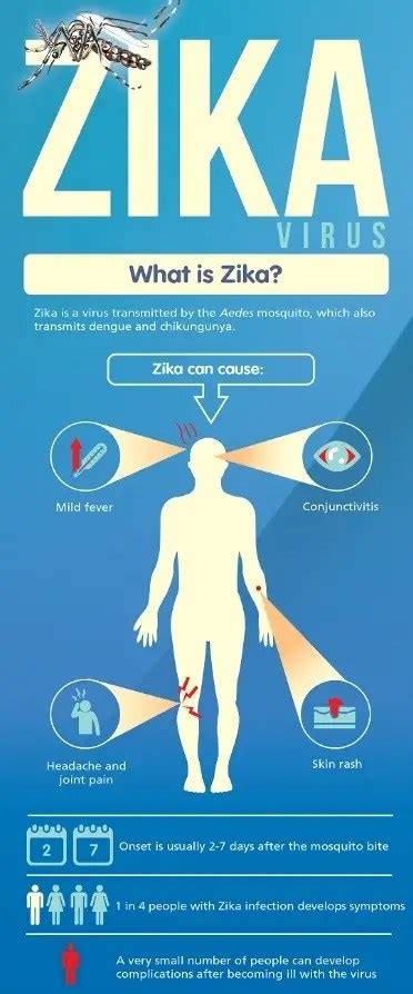 Zika Virus Transmission Pathogenesis Symptoms Lab Diagnosis