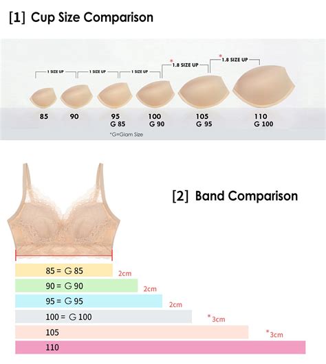Size Chart 5mm Padded Bra 8 Different Bra Sizes