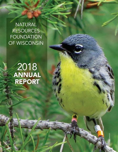 2018 Annual Report By Natural Resources Foundation Of Wisconsin Issuu