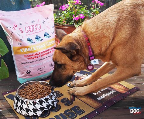We all want our beautiful dogs to live long, healthy and happy lives. Petzyo Grain-Free Dog Food Review | Australian Dog Lover