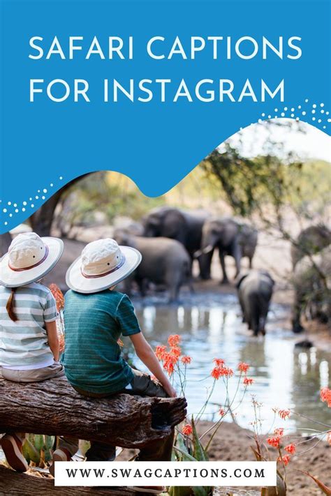Safari Captions For Instagram In 2023 Instagram Captions Safari