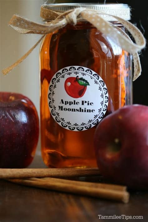 This recipe is one of my favorites to make. Crock Pot Apple Pie Moonshine Recipe