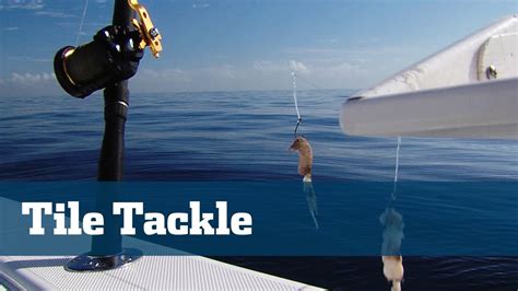 Deep Drop Tilefish Hand Crank Florida Sport Fishing Tv Rigging