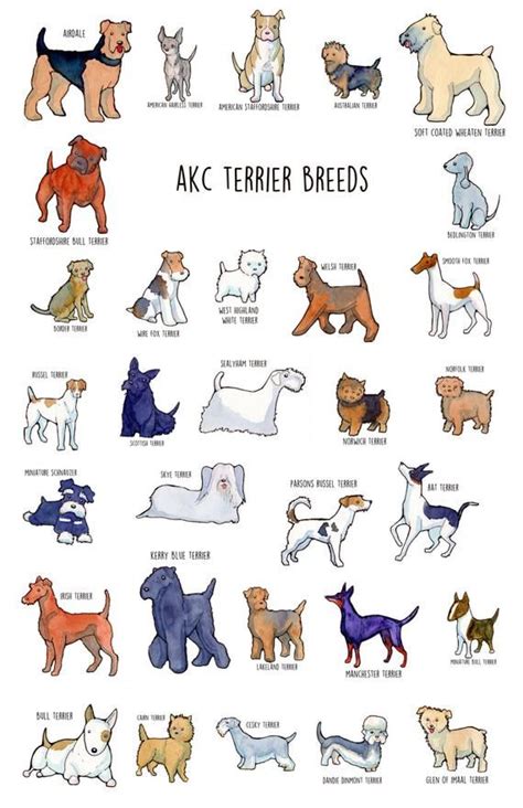 Poster Of Akc Terrier Group Etsy In 2020 Dog Breed Poster Akc Dog