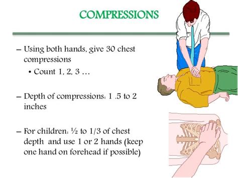 Cardiopulmonary Resuscitation Cpr An Emergency Procedure