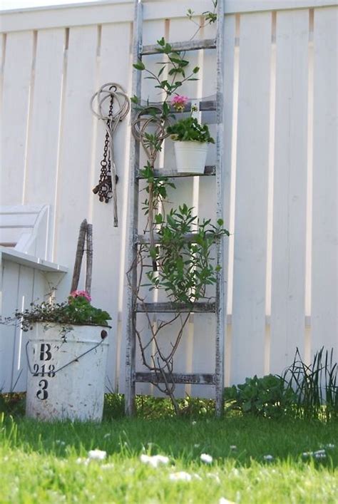 1000 Images About Recycled Ladders On Pinterest Shelves Plant