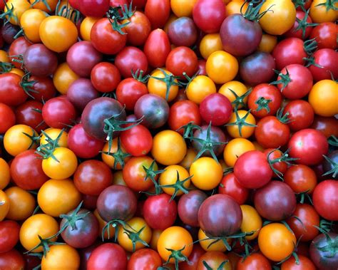 Tomatoes Heirloom Cherry Phils Produce