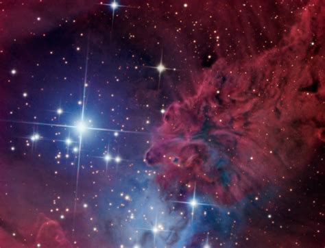 Fox Fur Nebula In Monoceros