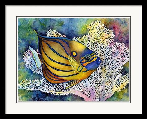 Blue Ring Angelfish Framed Print By Hailey E Herrera Watercolor Fish
