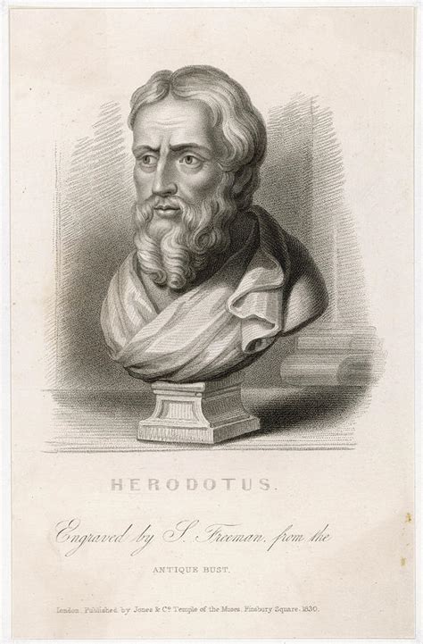 Herodotus Greek Historian Date Drawing By Mary Evans Picture Library