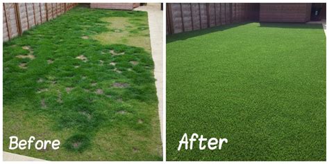 Artificial Grass For Dogs Everything You Need To Know 2023