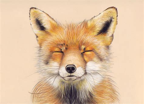 Cute Fox Art Print Of My Original Drawing Wall Art Etsy Singapore