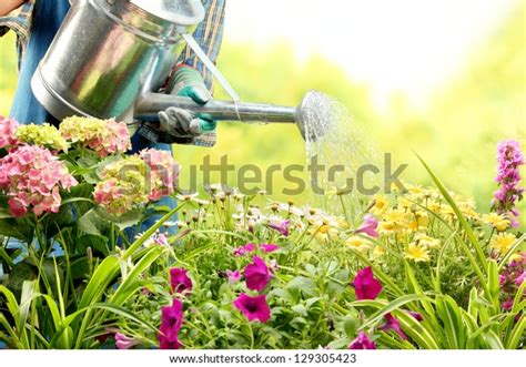 Watering Flowers Garden Centre Stock Photo Edit Now 129305423