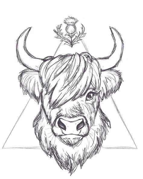 𝕂𝕒𝕥𝕖 𝕂𝕖𝕟𝕟𝕖𝕕𝕪 Na Instagramu „working On A Highland Cow Tattoo Design I
