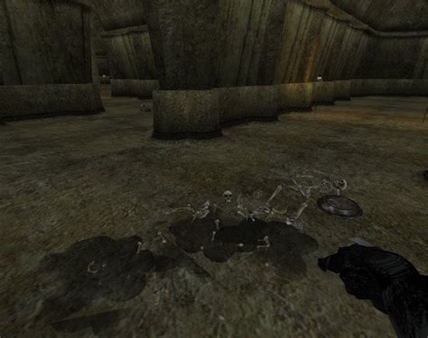 Blood And Gore At Morrowind Nexus Mods And Community