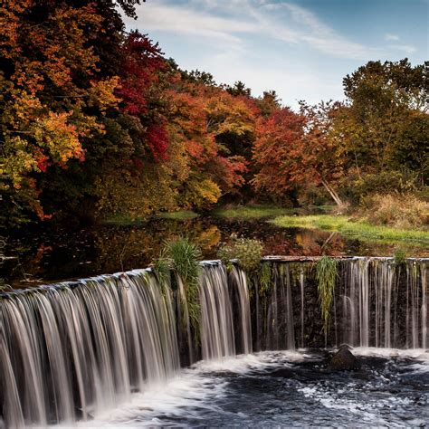 Download Wallpaper 2780x2780 Waterfall Stream Trees